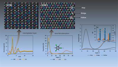 Non-reactive facet specific adsorption as a route to remediation of chlorinated organic contaminants